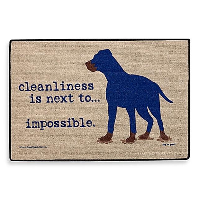 Cleanliness Impossible Door Mat