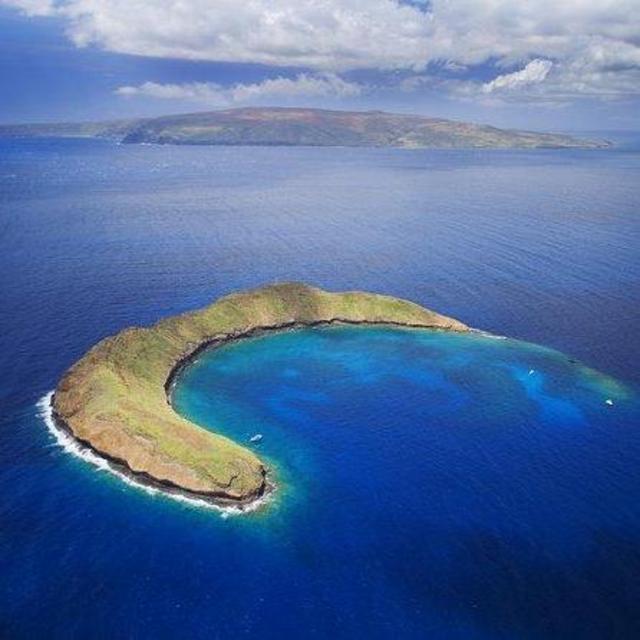 Molokini Crater Snorkeling Tour