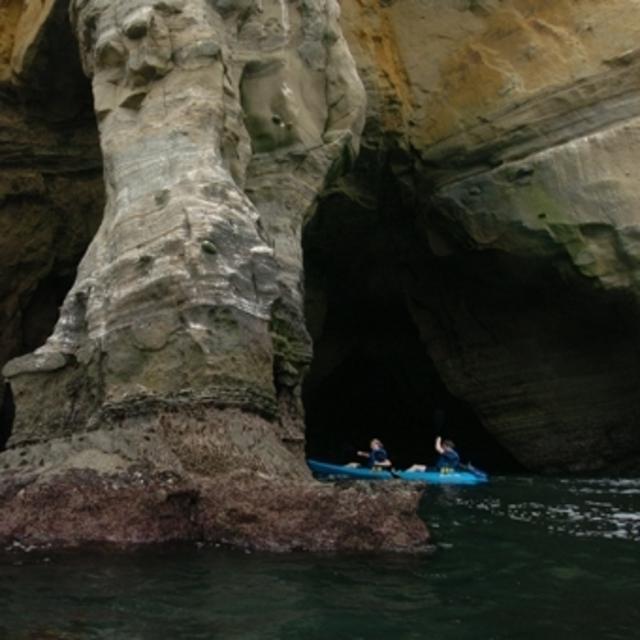 La Jolla Sea Caves Kayak Tour