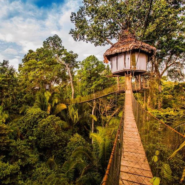 Honeymoon - Two Night Stay In An Amazon Rainforest Treehouse