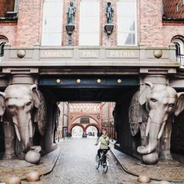 Carlsberg Brewery Tour