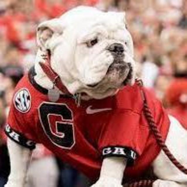 Hannah Lelito and Kevin Victory's Wedding Registry on Zola