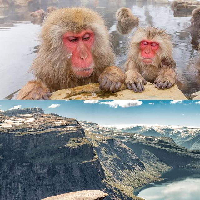 Honeymoon adventures