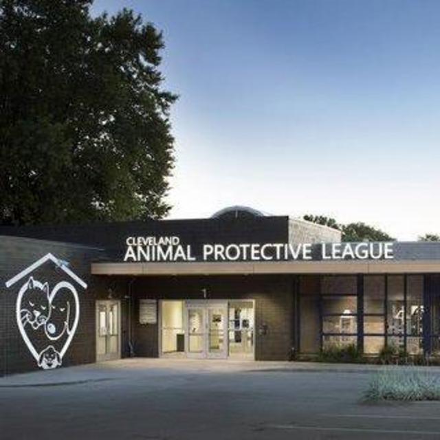 Our Favorite Charity - Cleveland Animal Protective League