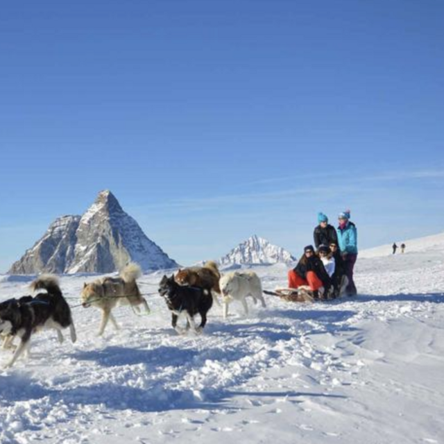 Future Honeymoon Fund