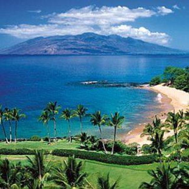 Honeymoon Fun Money!