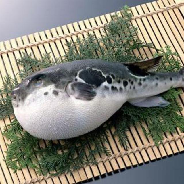 Honeymoon Tokyo Dinner (1 of 3)