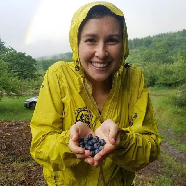 Filling our Freezer with PYO Blueberries