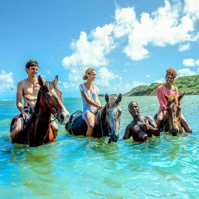 Horseback Ride 'n' Swim Saint Lucia