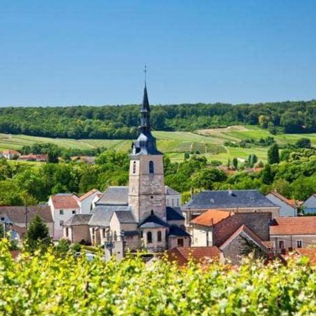 Day Trip to Champagne with Tastings