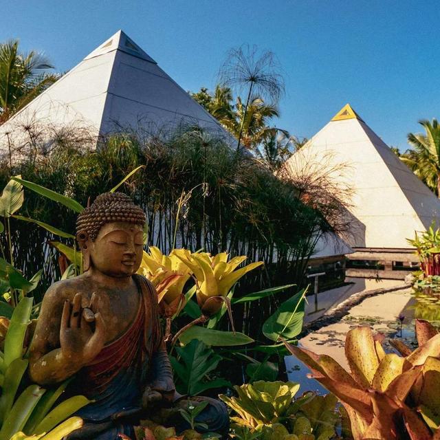 Wellness Day at Pyramids of Chi