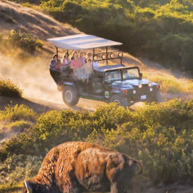 Honeymoon Bison Expedition