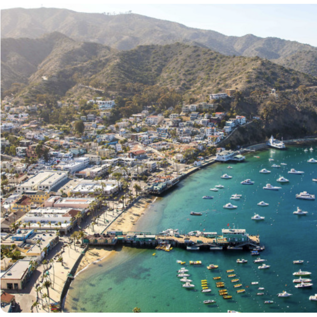 Honeymoon Discover Avalon