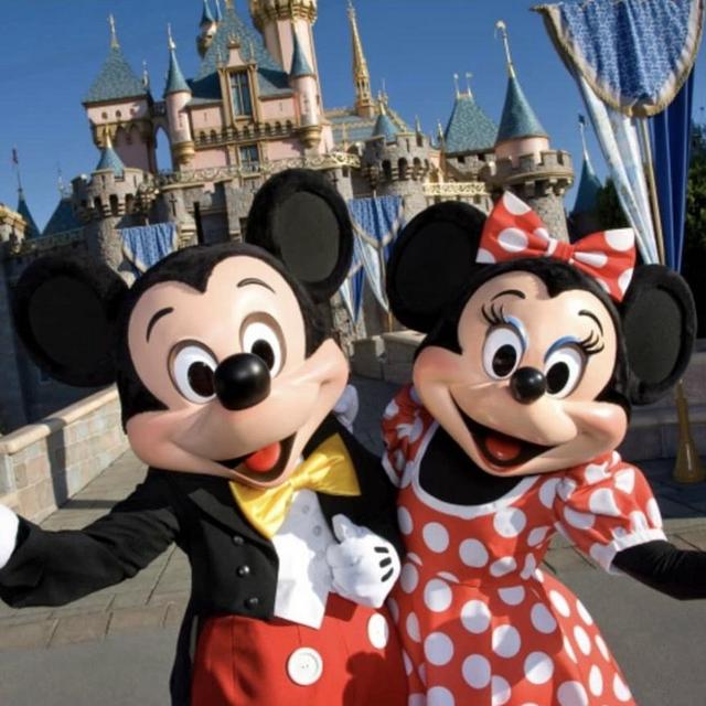 Walt Disney World Tickets (Contribute what you wish)