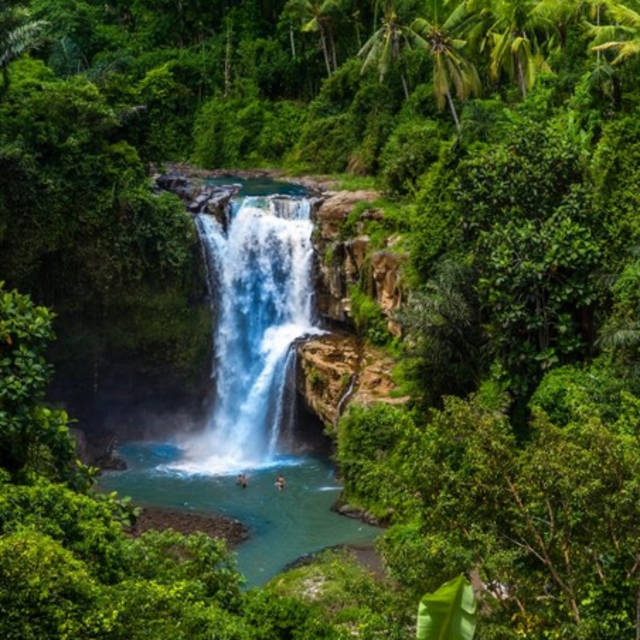 Guided Tour and Jungle Trekking in Bali