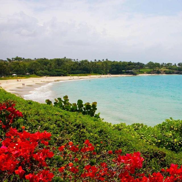 6 Nights Stay In A Hawaii Airbnb