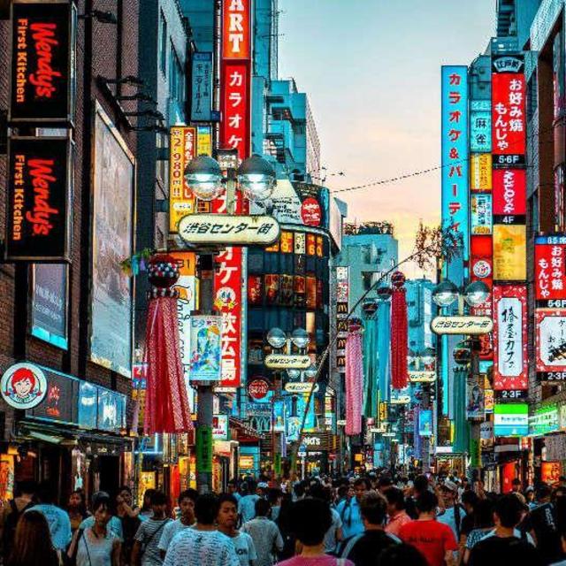 Our Honeymoon to Japan