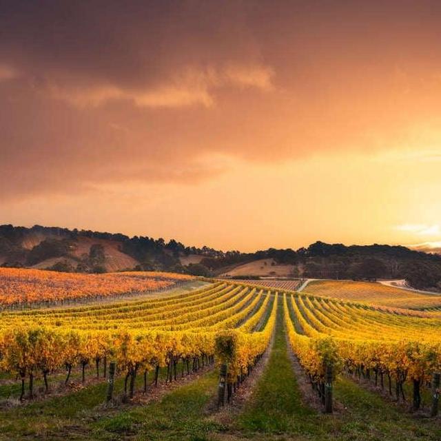 Honeymoon Fund: 2 Bottles of Australian Wine