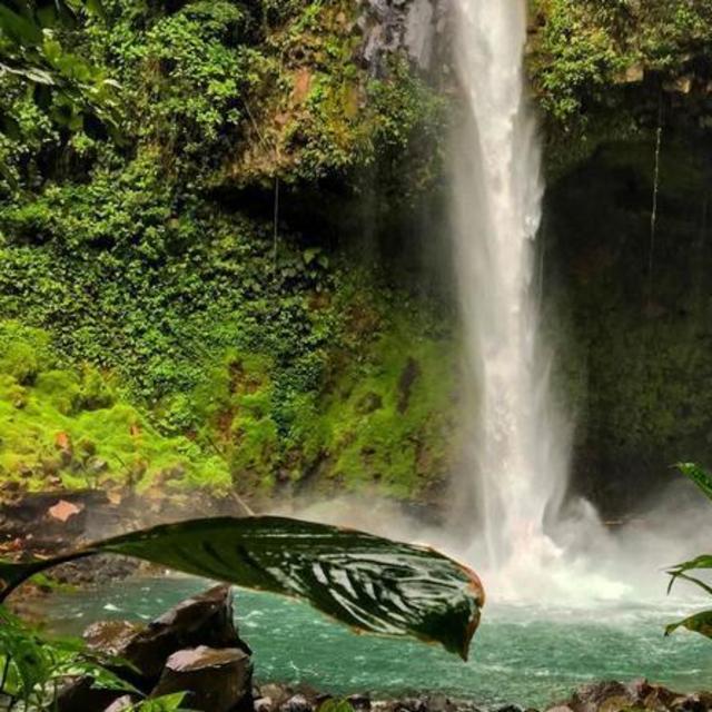 Hanging Bridges, La Fortuna Waterfall, and Arenal Volcano Hike