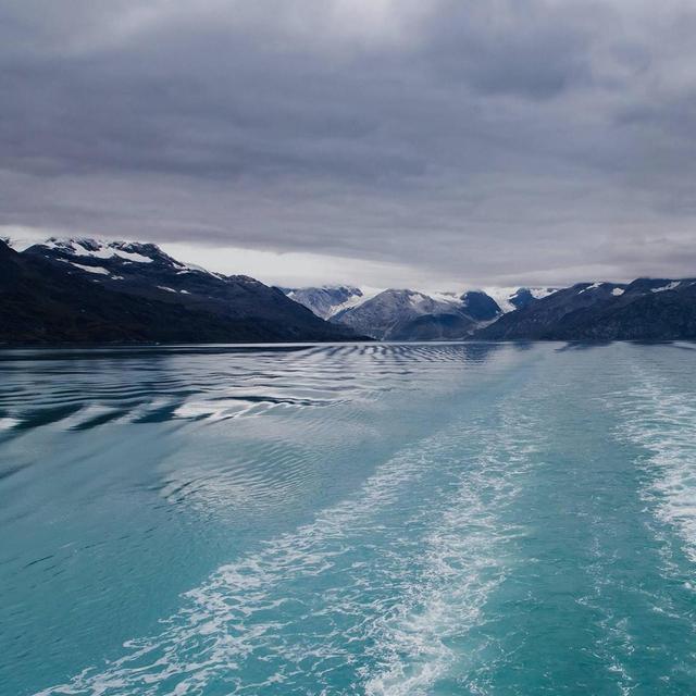 Alaskan Cruise Honeymoon Shore Excursions