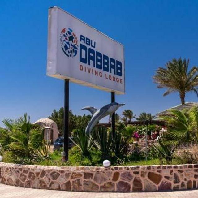 5 Day Dive & Stay Package on the Red Sea