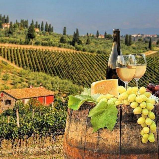 Winery/Vineyard tour in Castellina in Chianti