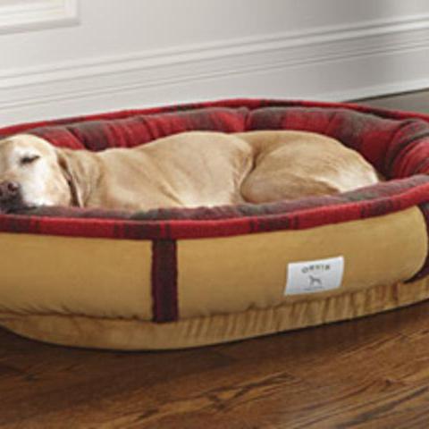 Wraparound Dog Bed