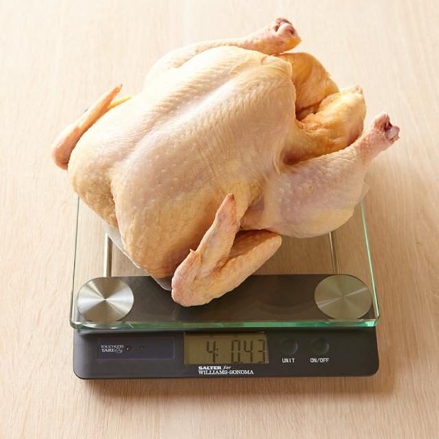 Williams-Sonoma Touchless Tare High-Capacity Glass Scale