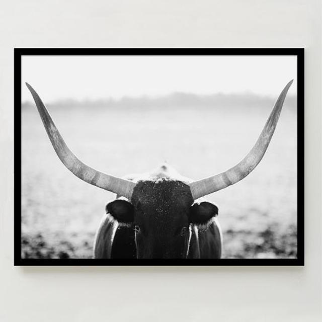 Minted for west elm - Staredown