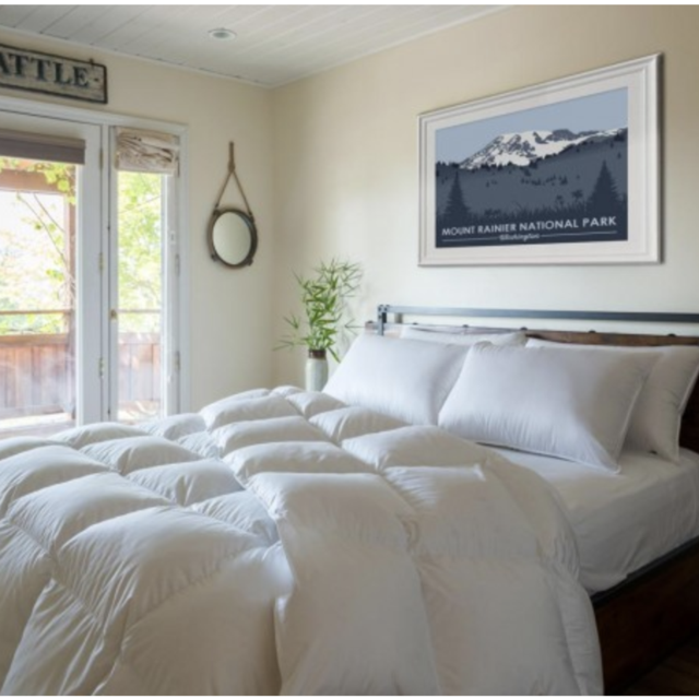 Bavarian Light 850 Down Comforter, Queen