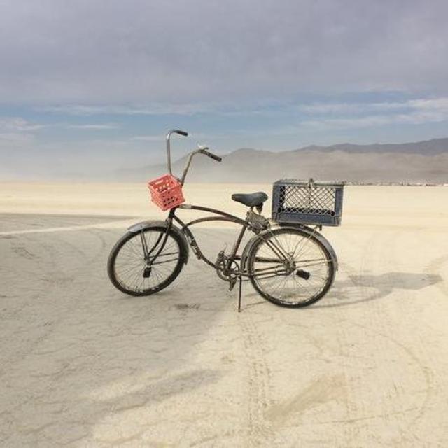 Honeymoon Bikes!