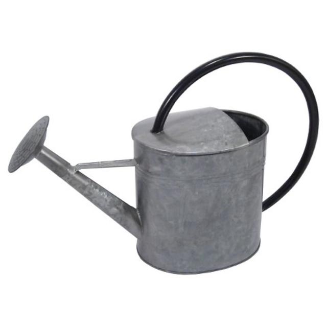 Threshold™ Galvanized Modern Watering Can product details page