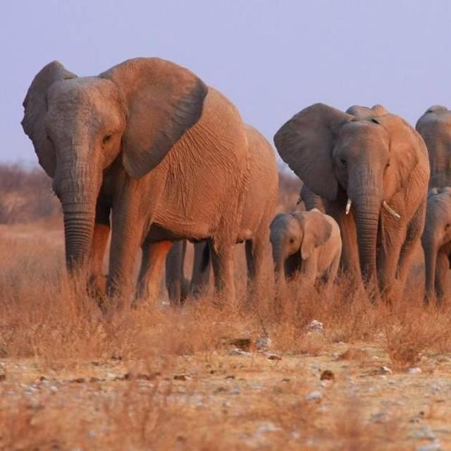 Namibrand Nature Reserve