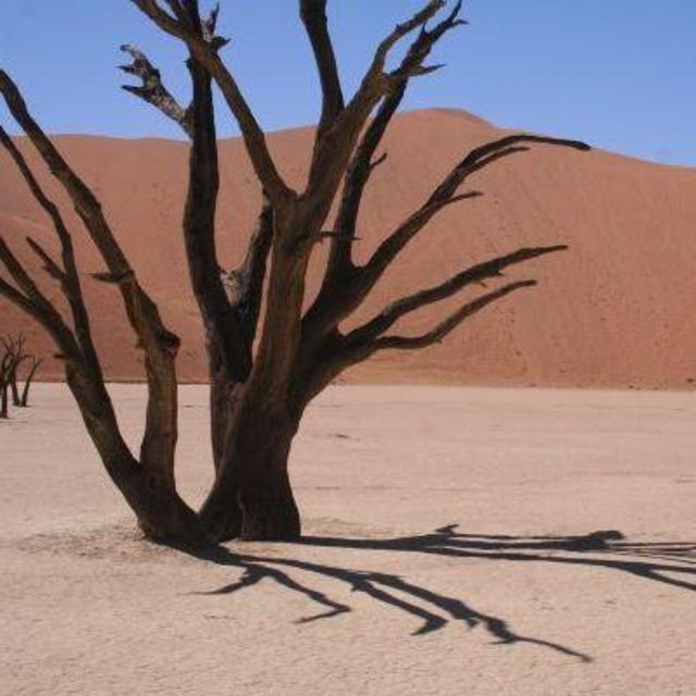 Sossusvlei dune excursion