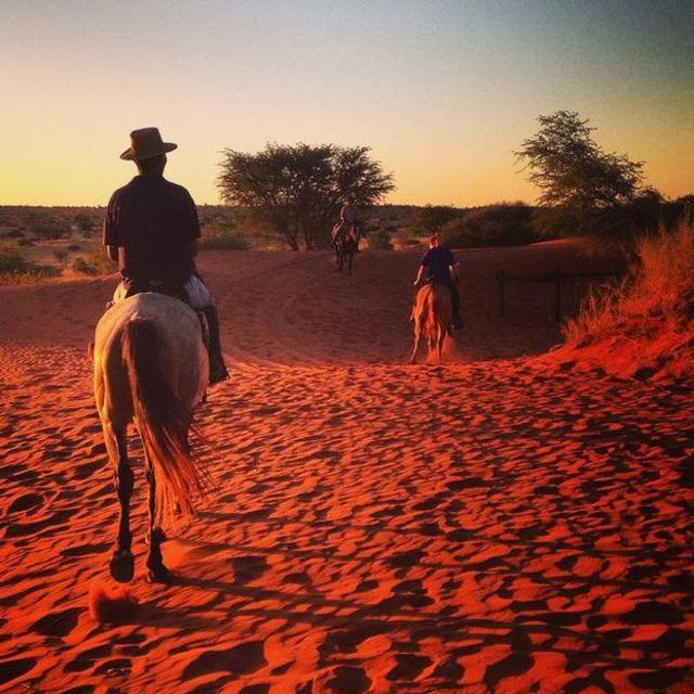 Sunset Ride in the Desert Plains