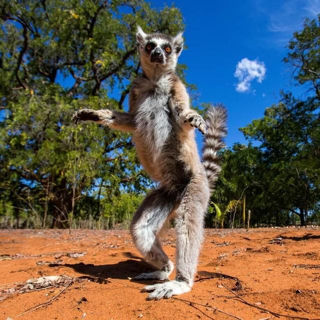 Mariah & Will's Honeymoon