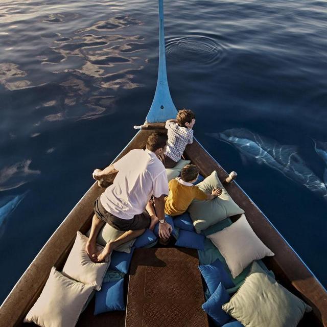 Dolphin Talk & Dolphin Watching Cruise at Four Seasons Kuda Huraa Maldives