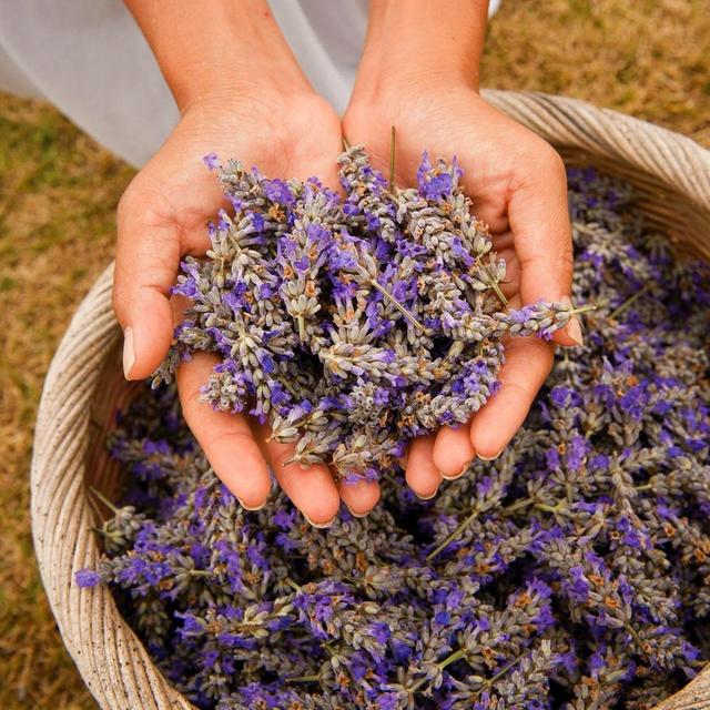 Ali'i Kula Lavender Gift Shop