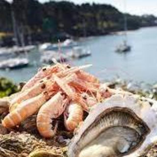 Beach Chairs & Langoustines