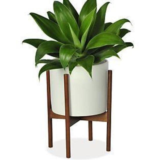 Case Study Planters with Walnut Stand