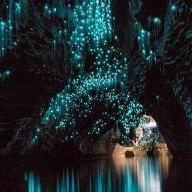 Guided tour of Waitomo Caves