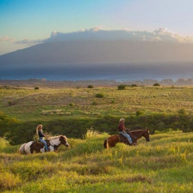 Honeymoon Experience - Ironwood Ranch Horse Ride