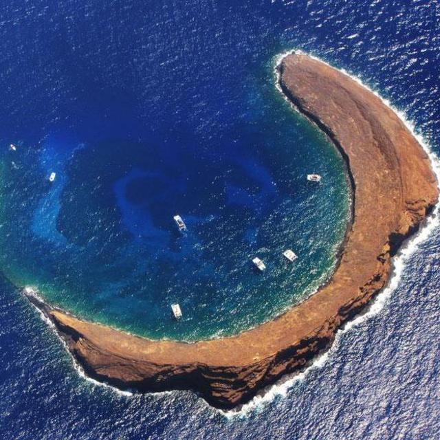Honeymoon Experience - Snorkeling in Molokini Crater