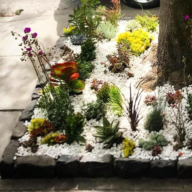 Plants from Flora Grubb Gardens