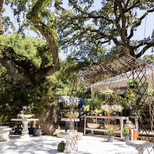 The Great Outdoors - Austin, TX - Gift Card