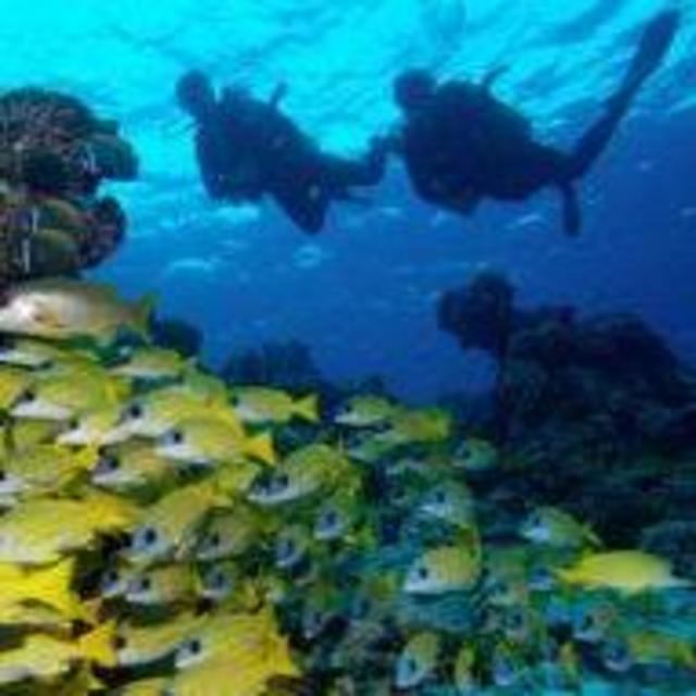 Honeymoon Excursions