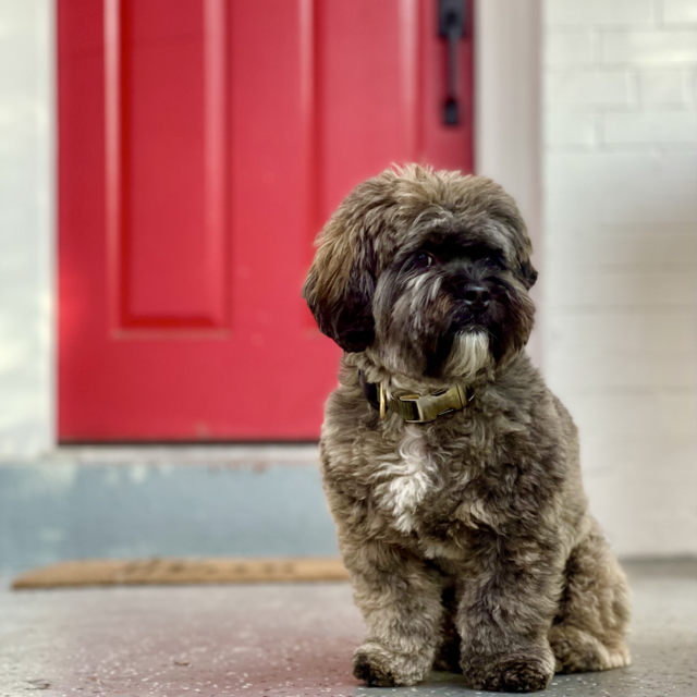 House (that we own and needs love) Fund!