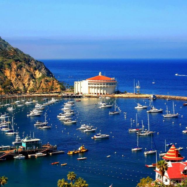 Trip To Catalina