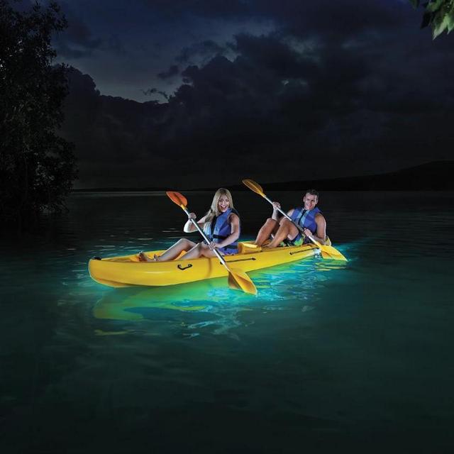 Bioluminescent Bay Excursion