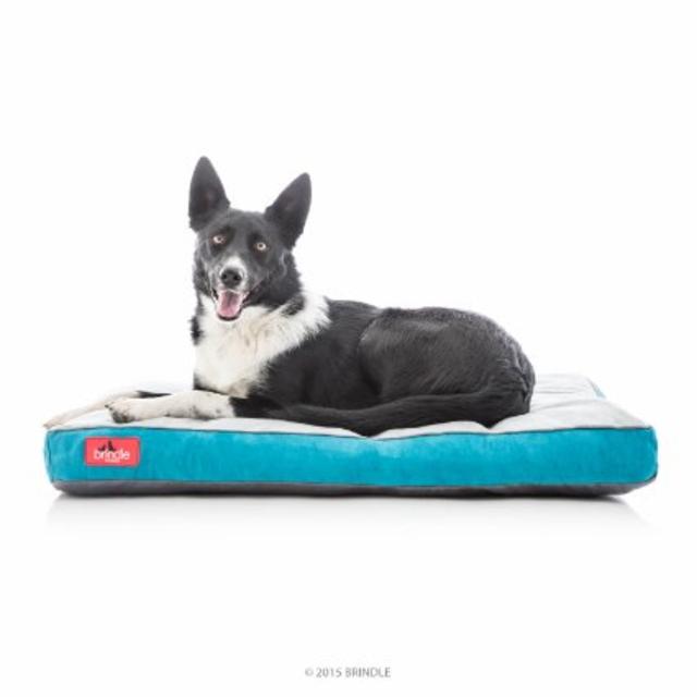 BRINDLE Soft Memory Foam Dog Bed with Removable Washable Cover